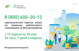 Горячую линию по голосованию за благоустройство территорий откроют в Забайкалье