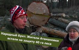​«Вечорка ТВ»:​Народный бунт: Жители Атамановки встали на защиту 40 га леса
