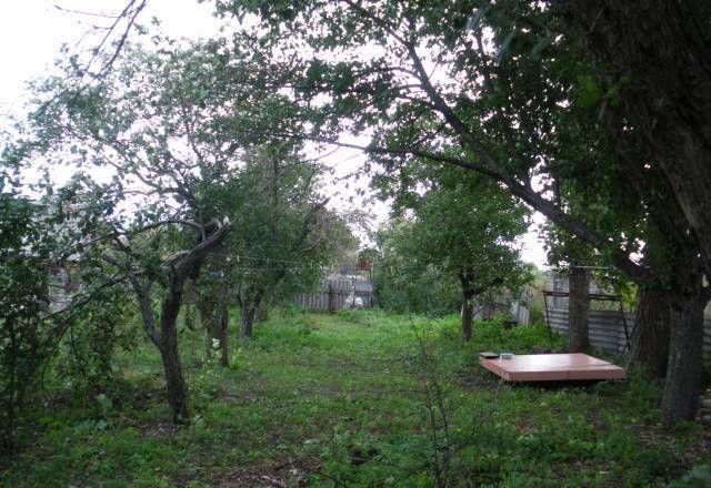 Жители Воронежской области предложили переехать пострадавшим от паводка забайкальцам к ним в село