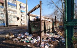 Про мусор, Урюм и спасибо медикам