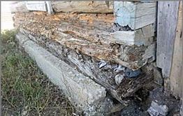 Неравнодушные граждане готовы помочь замерзающим детям в Кадале