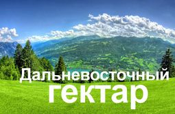 Год на Дальнем востоке. Полет нормальный.