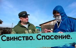 Свиной вопрос. Фермер ответил за все. Африканская чума бушует в Чите.