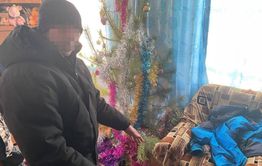 Пьяный забайкалец убил сожительницу и лег спать