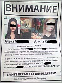 В Чите появились листовки против переезда в Читу одной из хабаровских живодерок
