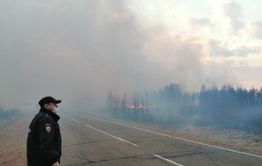 ​Причиной одного из пожаров у Ивано-Арахлейских озер стал обрыв линии электропередач