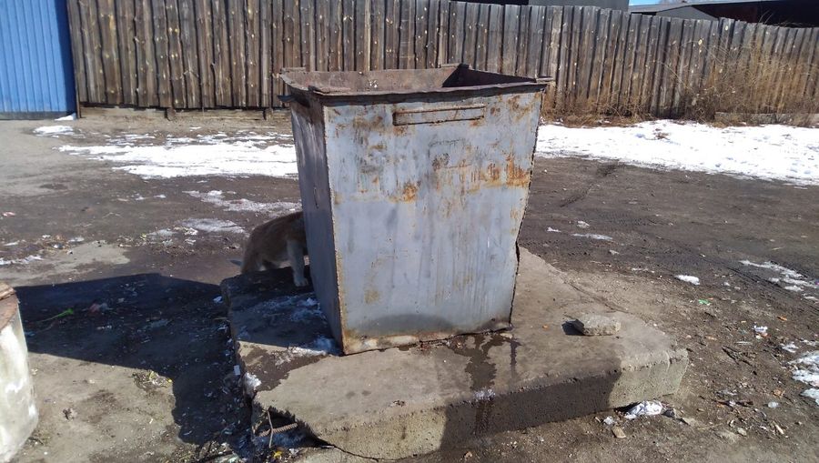 Жители Молодежной: До визита Осипова мы даже к мусорке подойти не могли