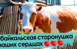 Живешь за Байкалом — не щелкай забралом!