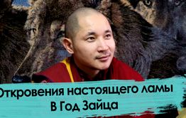 Почему Год Зайца? Ликбез от Батор-ламы
