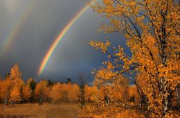 Сентябрь обещает быть дождливым в Забайкалье