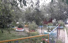 Праздник двора как праздник души