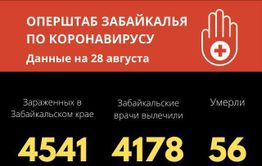 В Забайкалье от COVID-19 скончалась 63-летняя женщина.