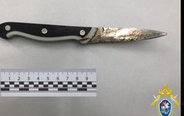 В Забайкалье подросток признан виновным в убийстве 14-летней девушки
