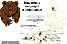 Медвежья доля