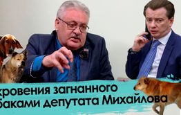 Законы Бурматова – причина гибели детей