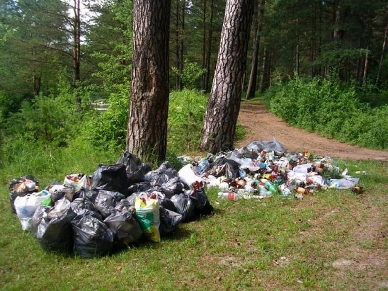 В Дровяной нет бани, а лес вокруг поселка завалили мусором