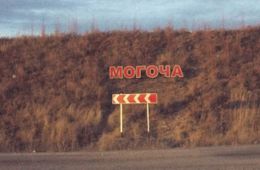 Тело бывшего замглавы Могочи нашли в лесу — он мог покончить с собой 