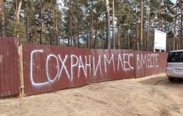 Защитите лес от чиновников!