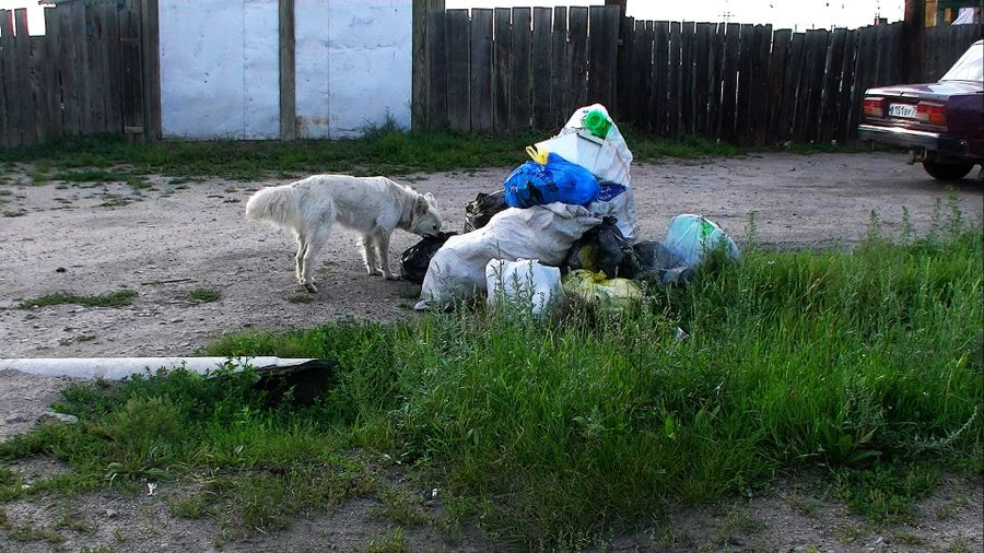 Вечорка ТВ: 