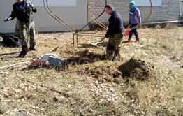 Менять Забайкалье женскими руками
