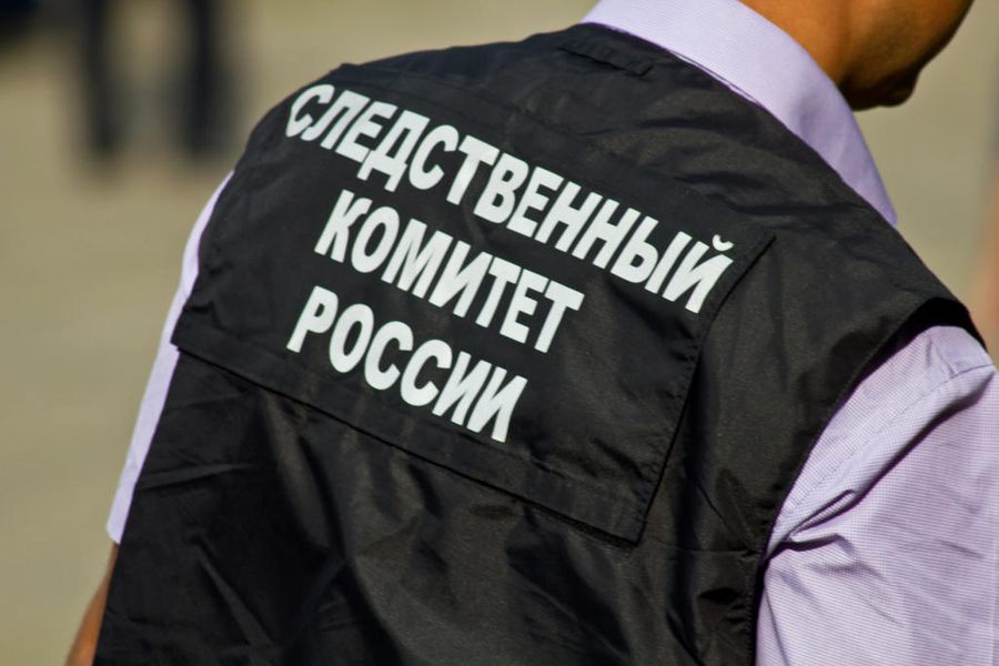 Следователи проверят информацию СМИ о бездомной женщине из Борзинского района