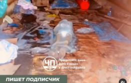 Новый морг за 19 млн появится в Могочинском районе Забайкалья