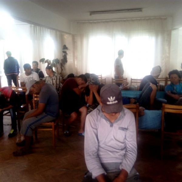 Забайкалье будет поставлять травку в Японию
