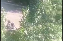 Читинец, который летом зарезал свою знакомую и вынес ее тело на улицу, получил 12 лет колонии 
