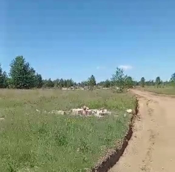 В Улетах появилась организованная свалка в зеленой зоне