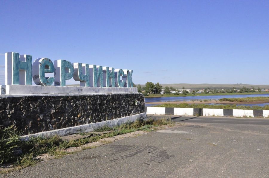ГИБДД против Бациллы