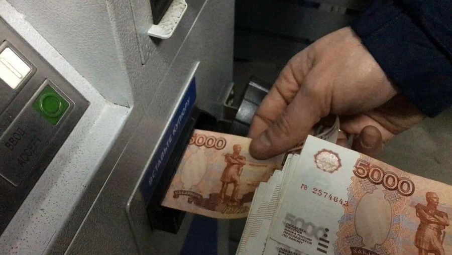 Почти 2 млн рублей присвоили мошенники при отлове собак в Забайкалье