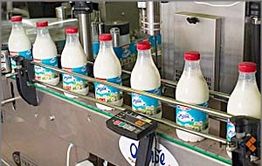 В молочной продукции компании «Вимм-Билль-Данн» обнаружили ящур