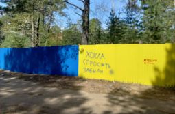Вот такая перемога в Чите со свастикой и адре...