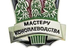 В Забайкалье начинают активно развивать коноплеводство
