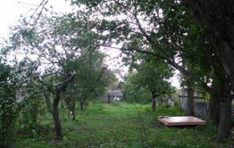 Жители Воронежской области предложили переехать пострадавшим от паводка забайкальцам к ним в село