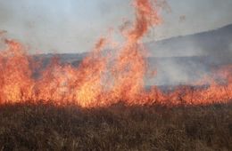 Противопожарный режим ЧС начал действовать в Забайкалье