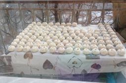 Подготовка к Сагаалгану. Чита, 22.01.21.