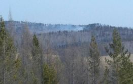 Минприроды Забкрая сообщает о шести действующих в регионе пожарах