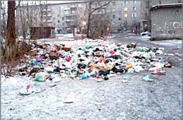 Жильцы дома на Недорезова превратили двор в помойку из-за отсутствия контейнера