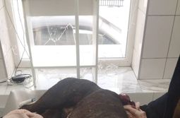 Собаку ранили ножом в подъезде дома в Песчанке