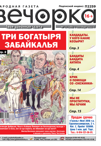 «Вечорка» №35