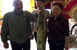 Призовой кролик добрался до подписчика «Вечорки» в Ортуй