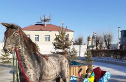 Жительница Агинского поблагодарила односельчан и властей за прекрасный ледовый городок