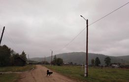 ​Светлое будущее