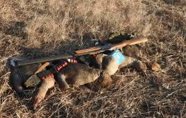 Браконьеры убили краснокнижных гусей в Даурском заповеднике