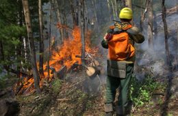 Лесные пожары потушили в нескольких районах Забайкалья