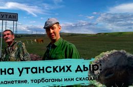 Вечорка ТВ: Тайна утанских дыр: инопланетяне, тарбаганы или склады