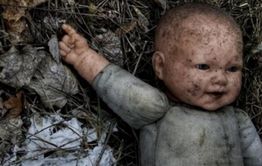 Труп младенца откопали собаки на свалке в Забайкальске