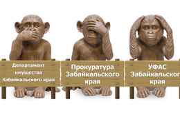 УФАС, прокуратура, департамент имущества — где скрывается их совесть?