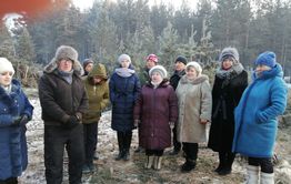 Жители Атамановки подписывают петицию против вырубки леса